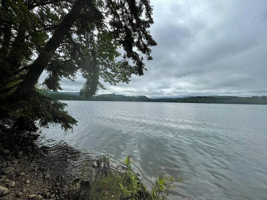 Romantic Cozy Cabin Walk To Lake Hot Tub Bikes Kayaks Grill Onalaska Esterno foto